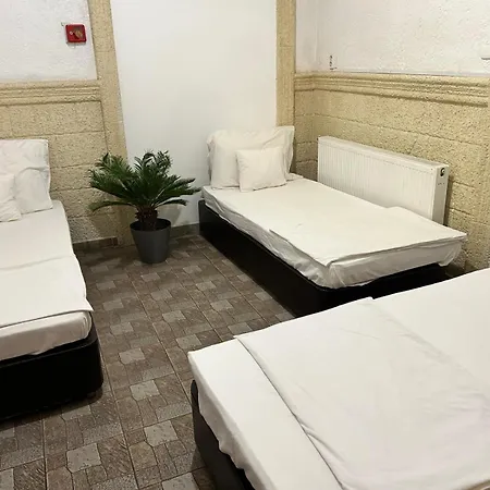 London Hostel Dabas